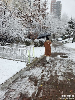 【難忘2022】+北方的雪