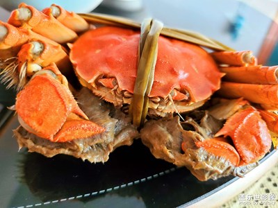 【難忘2022】吃大閘蟹