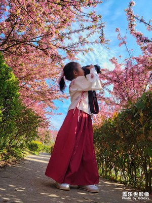 【難忘2022】

女兒學攝影