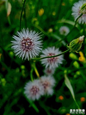 【難忘2022】+生活隨拍