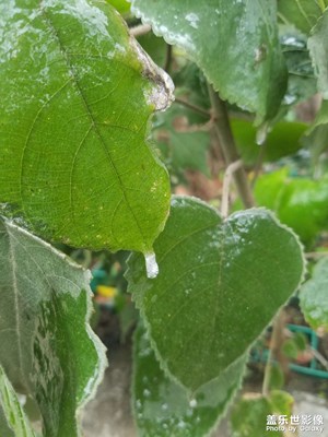 【生活隨拍】 日常