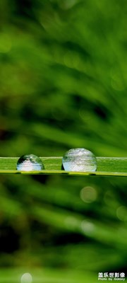 【難忘2022】+難忘回憶