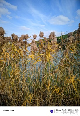 Google相機(jī)拍攝