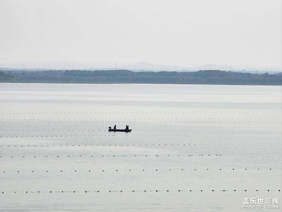 【生活隨拍】水上勞動