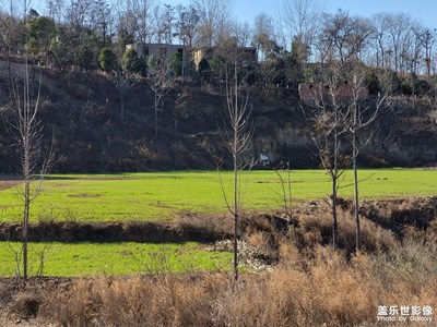 一望無(wú)際的除了土地還是土地