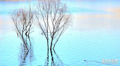 【光影記憶】+  午后暖陽