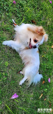 【年度禮品曬單】