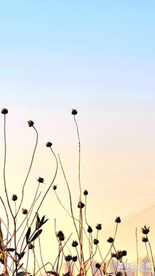 【光影記憶】+??午后天空