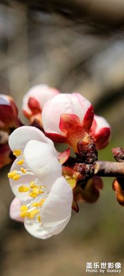 【難忘2022】+今年拍照分享