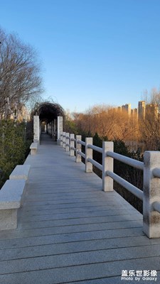 陽光正好放個風