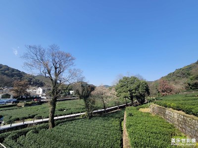 杭州梅家塢清風(fēng)茶莊