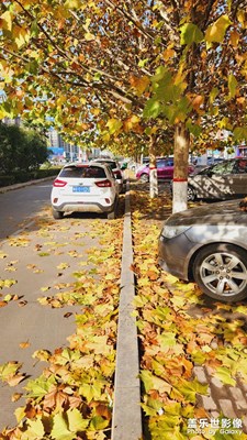 停車坐愛(ài)楓林晚