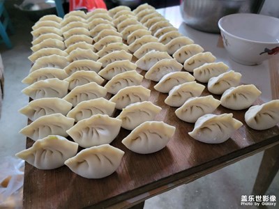 冬至來了，好吃不過餃子