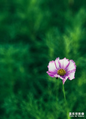 【難忘2022】+生機(jī)勃勃