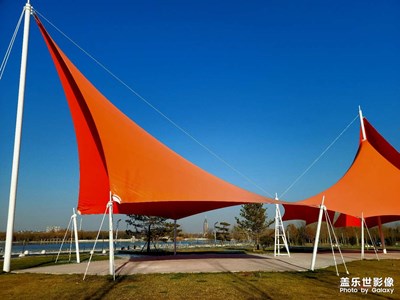 多么希望給我的城市添一把遮陽(yáng)傘