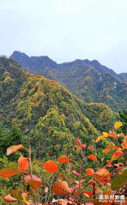 【難忘2022】+ 留念