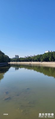 像是提前進(jìn)入年假模式