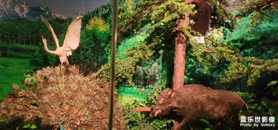 【新生活】+校園博物館