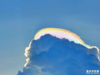 2022年年度記憶一