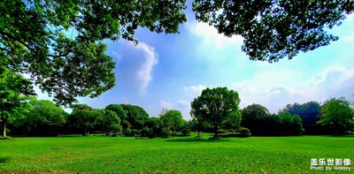 【難忘2022】城市綠地