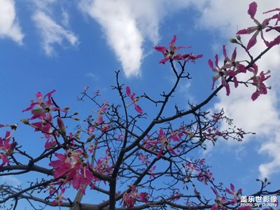 【難忘2022】+校園存檔