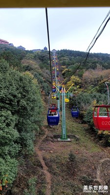 【喜迎新年】+盼歸