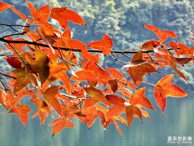 新年登高白云山