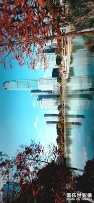 難得迎來了冬日里的暖陽！