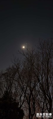 月上柳梢頭