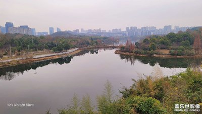 【新年好】+ 新年隨拍