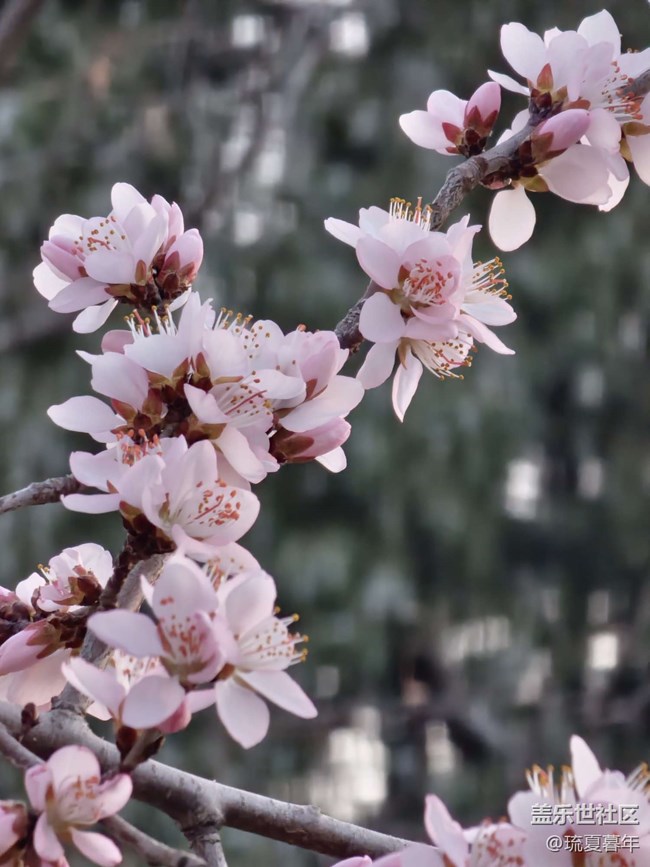 已開獎【Note版1月第2周】時光筆錄