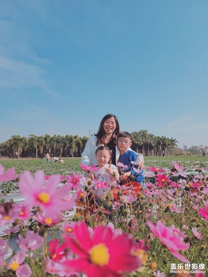 【新年好】+復(fù)蘇