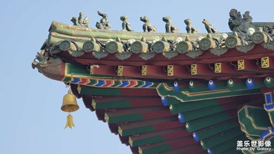 【新年好】+  歡喜迎新年