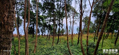 星耀云頂，龍泉山山脈??的魅力！