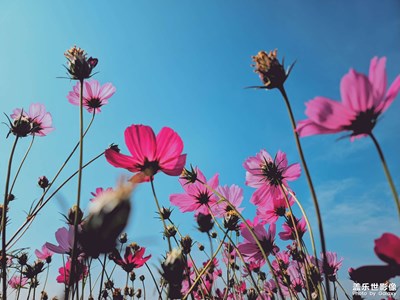 【新年好】+2023年第一周隨拍