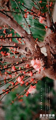 生活中的一些隨拍