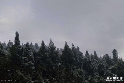 這不是北歐森林？這是中國(guó)重慶