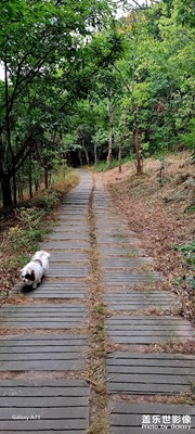 A系列拍照的天花板，自認(rèn)為沒(méi)有之一！