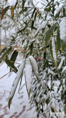 2023新年的第一場雪