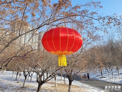 【新年快樂】+大紅燈籠高高掛