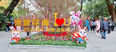 花開富貴迎新春