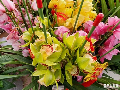 【新年快樂】+逛花市迎大年