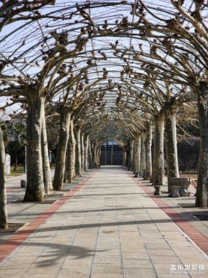 獨(dú)具匠心引人入勝