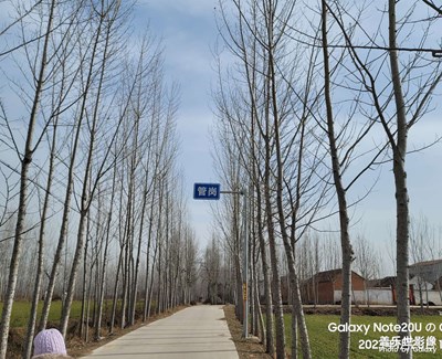 【過大年】老家的年味