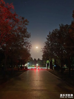 【煙火人間】月夜