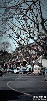 冬日游西湖(二)