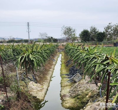 假日的農家田園