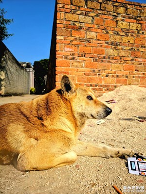 大年初三去走親戚