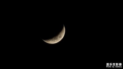 Samsung Galaxy Note20ultra