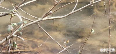 日常隨拍之（零下五度）